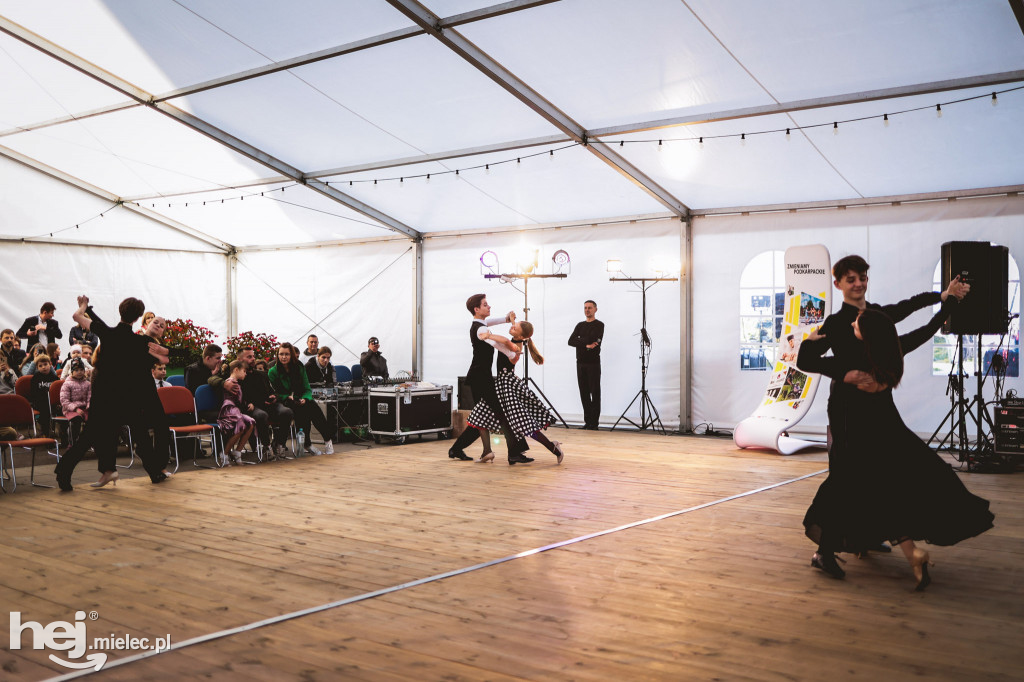 Piknik Z KULTURĄ PO EUROPIE