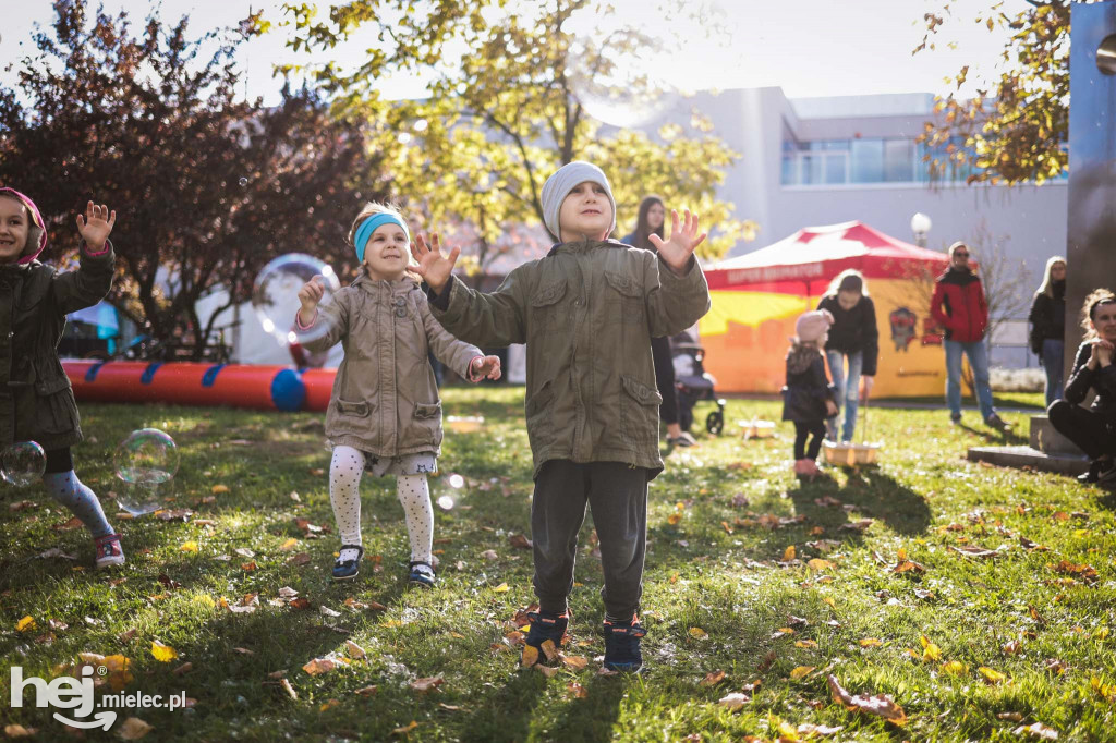 Piknik Z KULTURĄ PO EUROPIE
