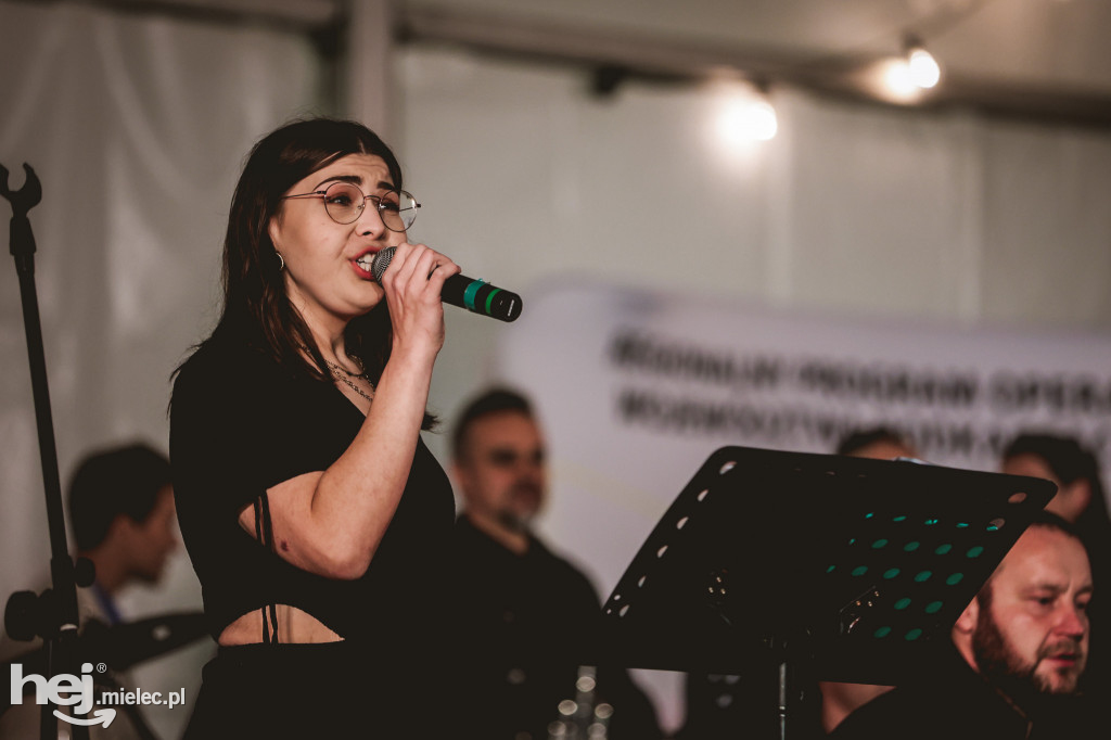 Piknik Z KULTURĄ PO EUROPIE
