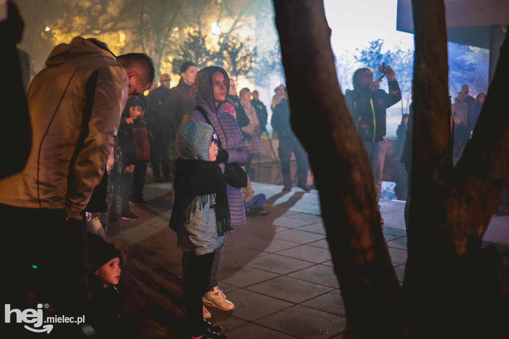 Piknik Z KULTURĄ PO EUROPIE