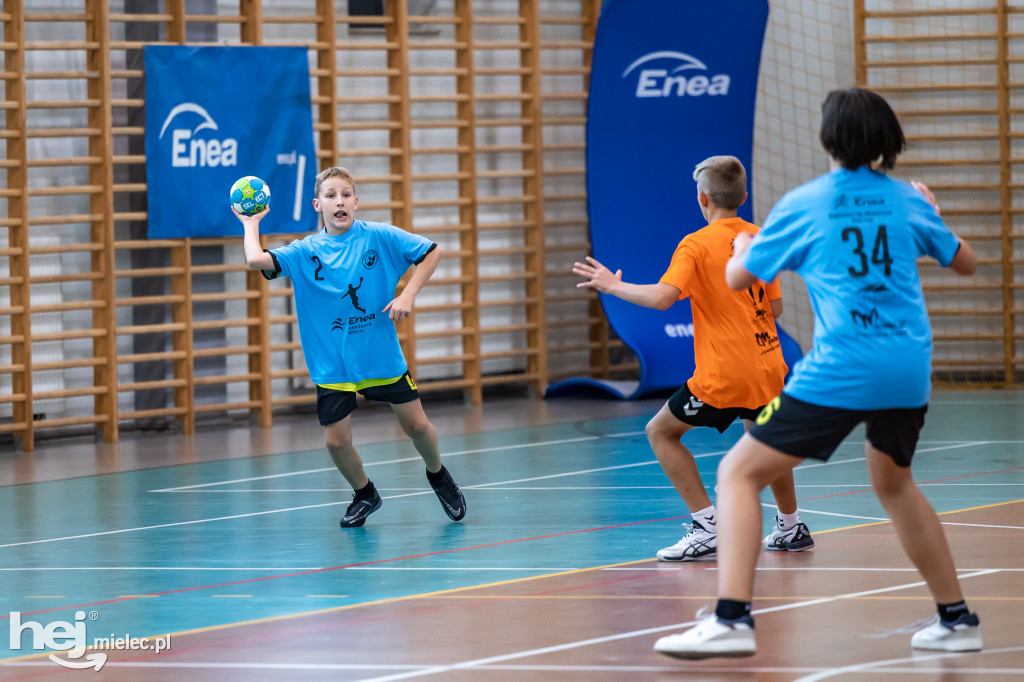Enea Cup