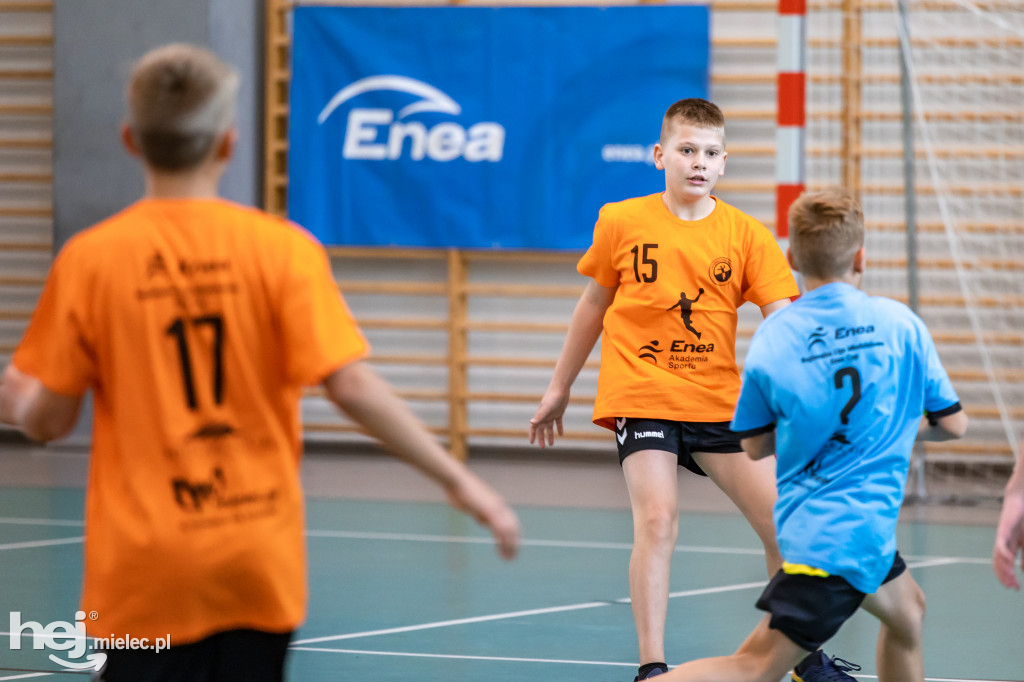 Enea Cup