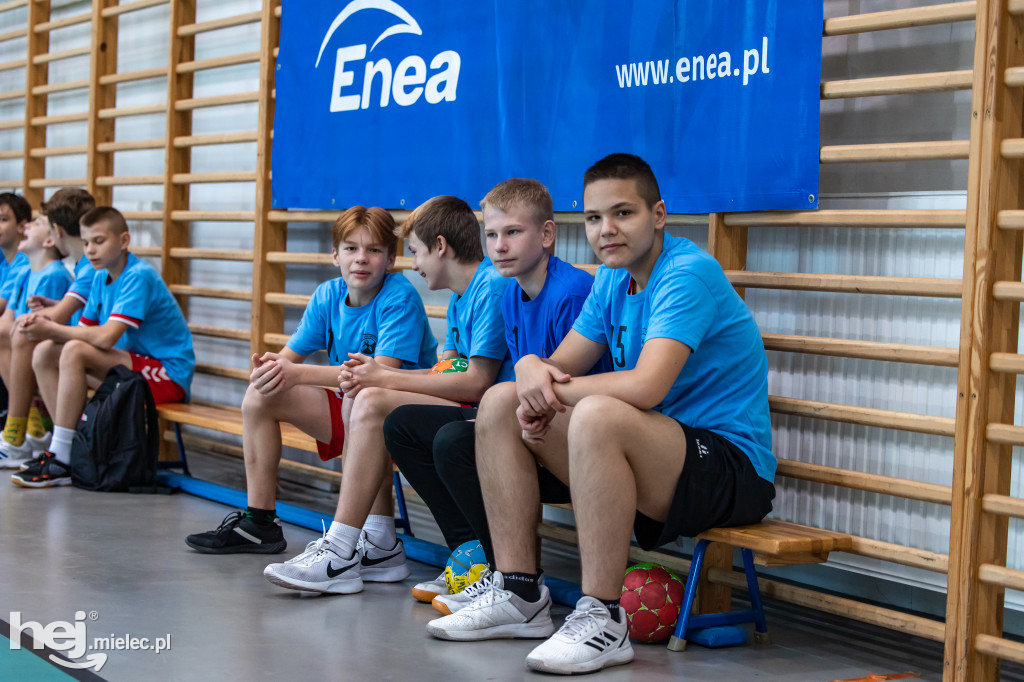 Enea Cup