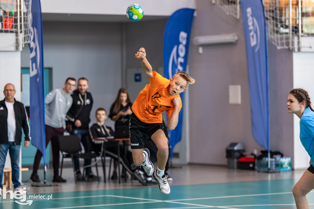 Enea Cup