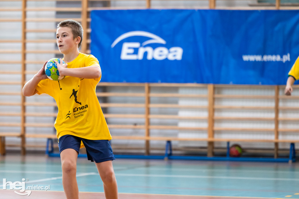 Enea Cup