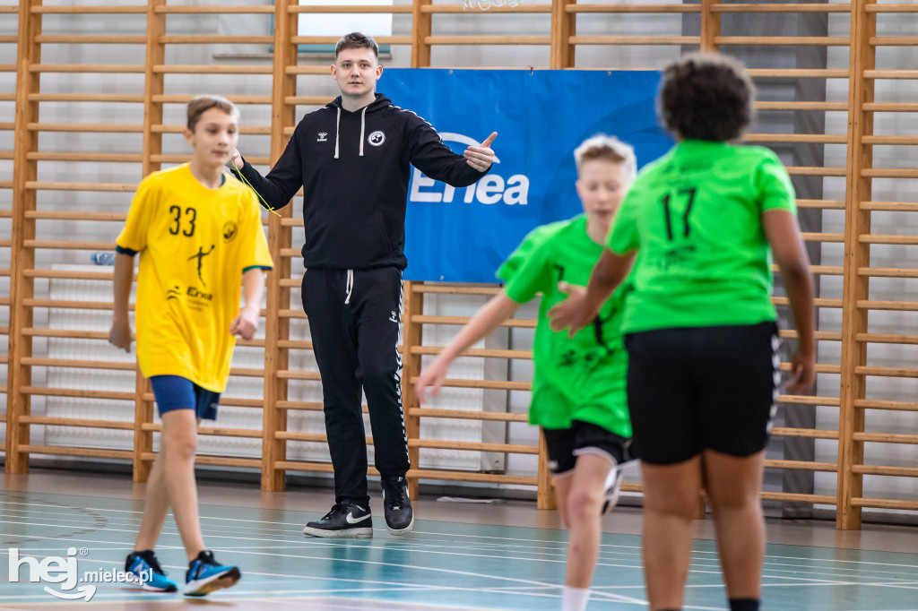 Enea Cup