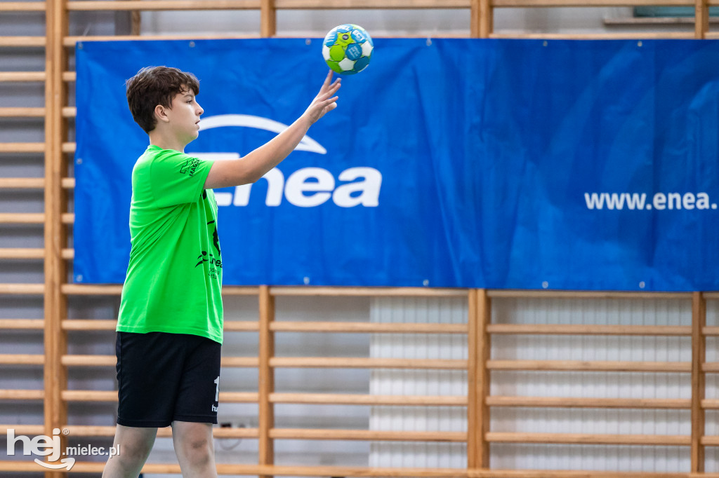 Enea Cup