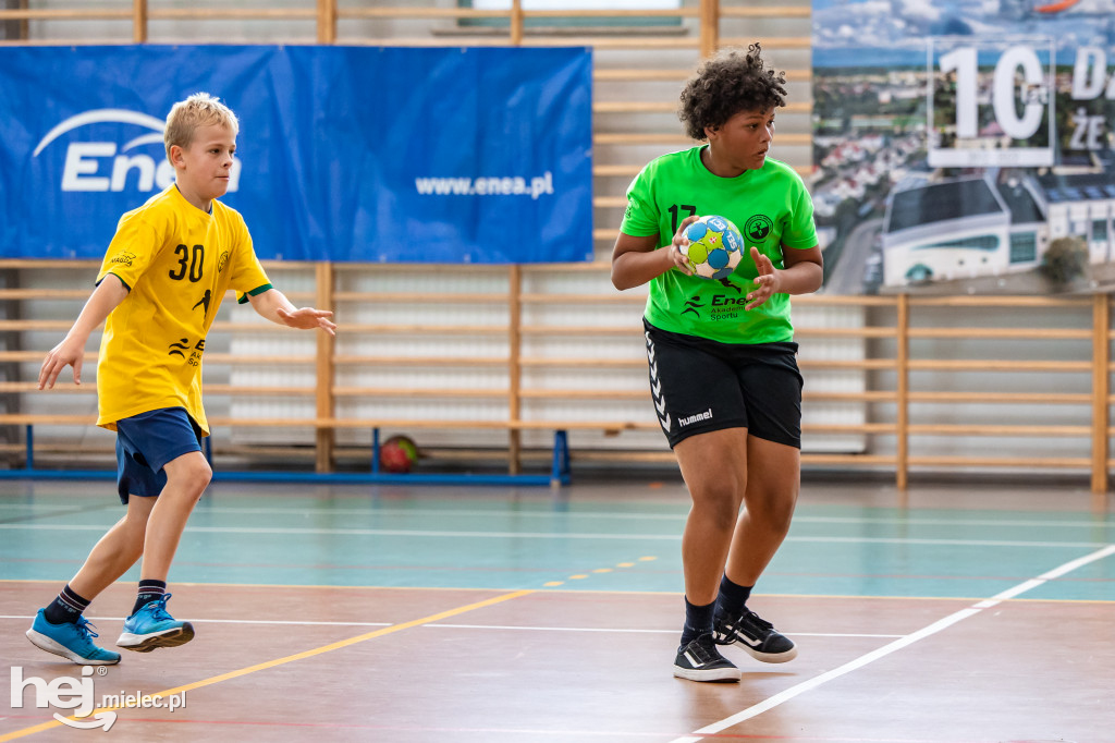 Enea Cup