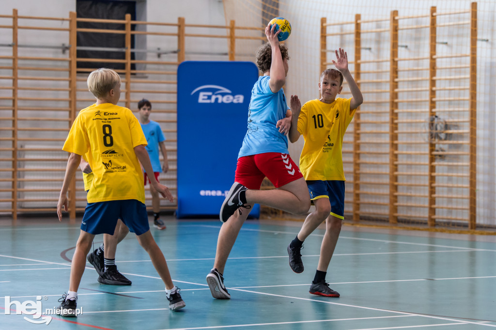 Enea Cup