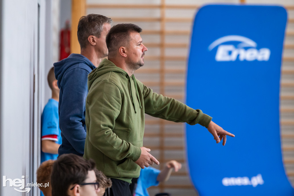 Enea Cup