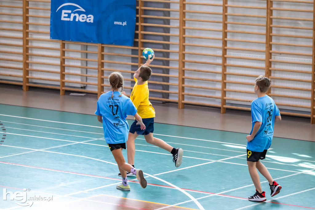 Enea Cup