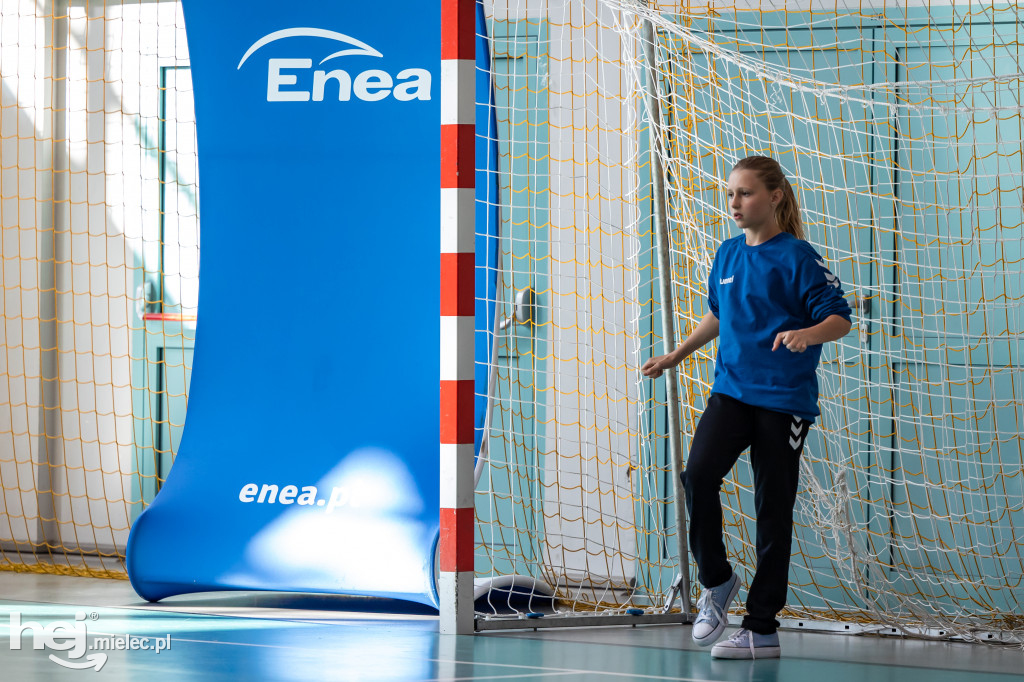 Enea Cup