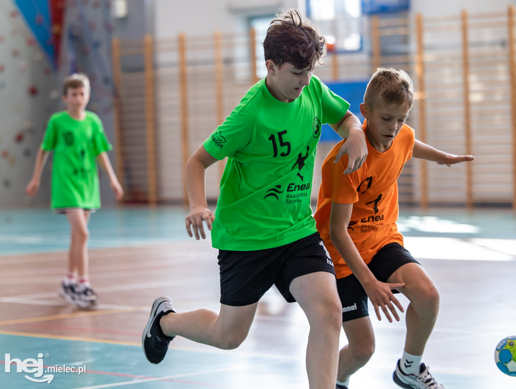 Enea Cup