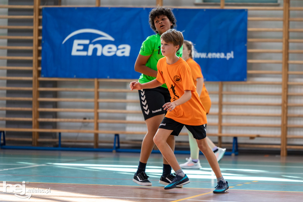 Enea Cup