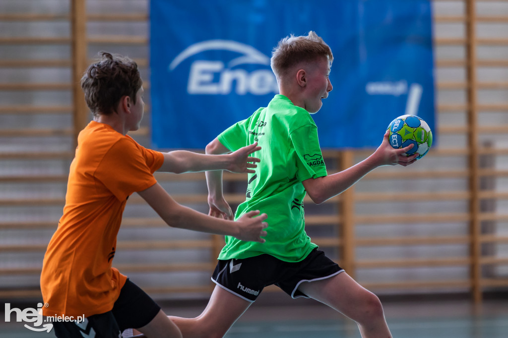 Enea Cup