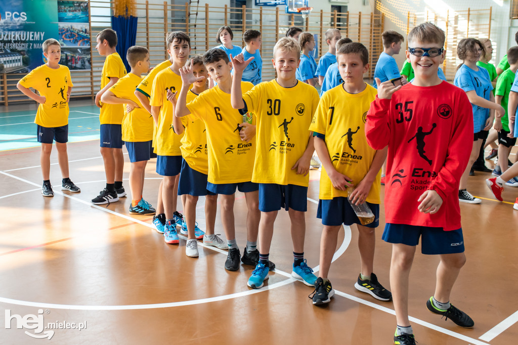 Enea Cup