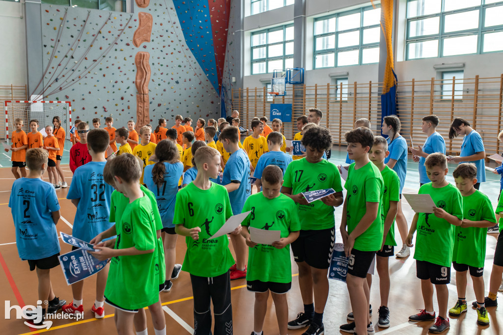 Enea Cup