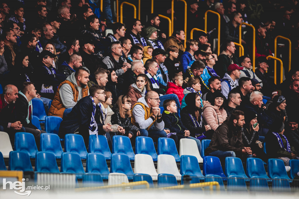 PGE FKS Stal Mielec - Wisła Płock [KIBICE]