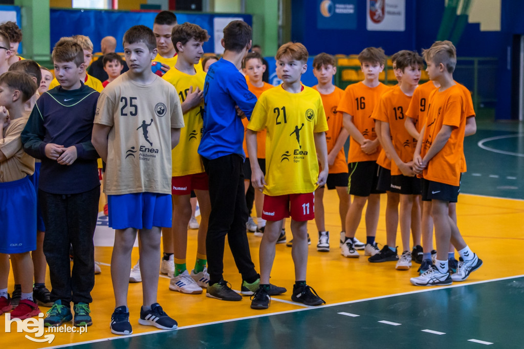 Enea Cup