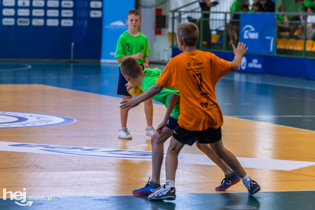 Enea Cup