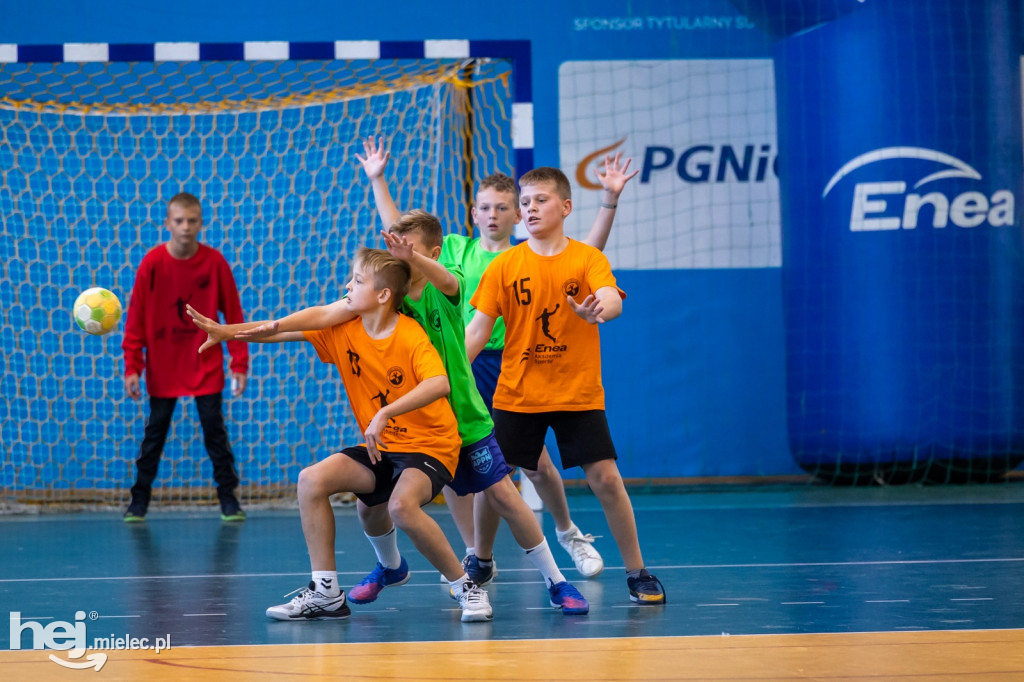 Enea Cup