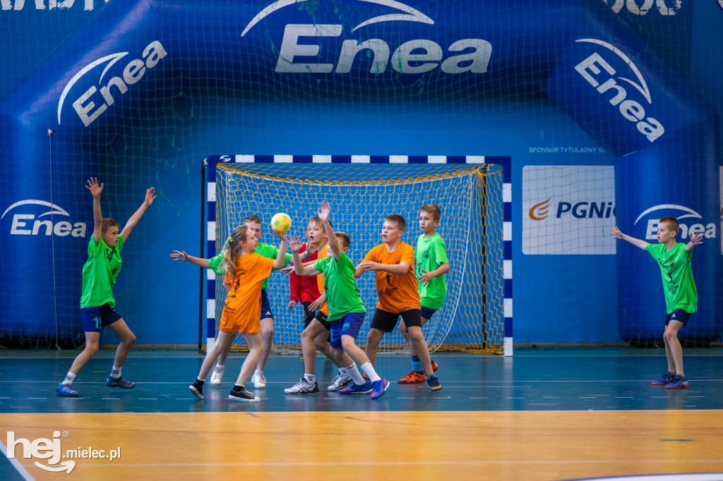 Enea Cup