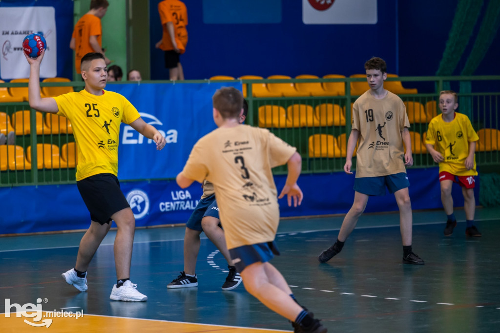 Enea Cup