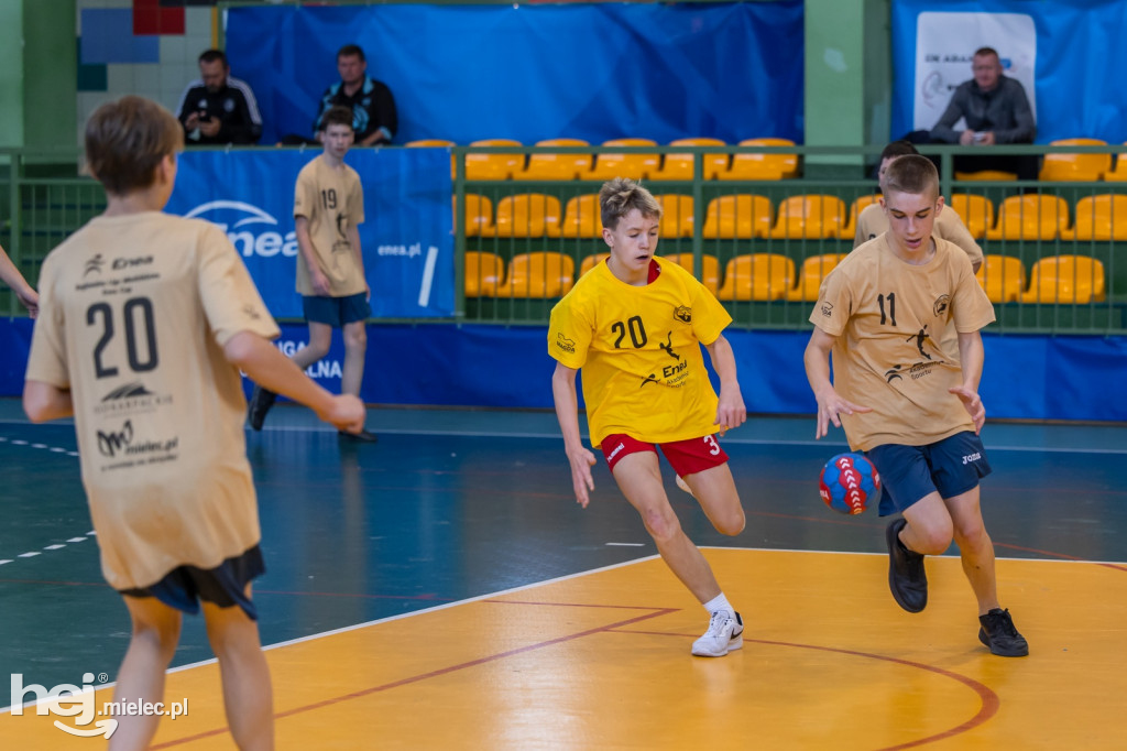 Enea Cup