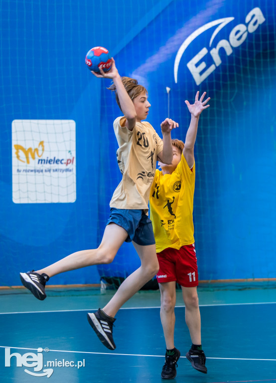 Enea Cup