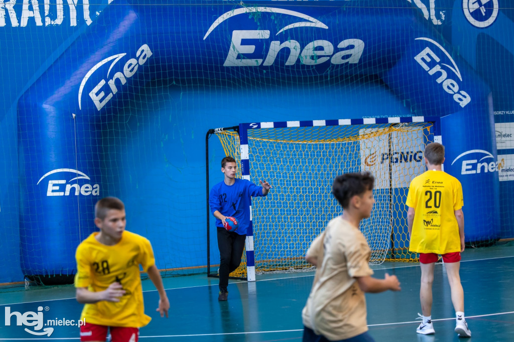 Enea Cup