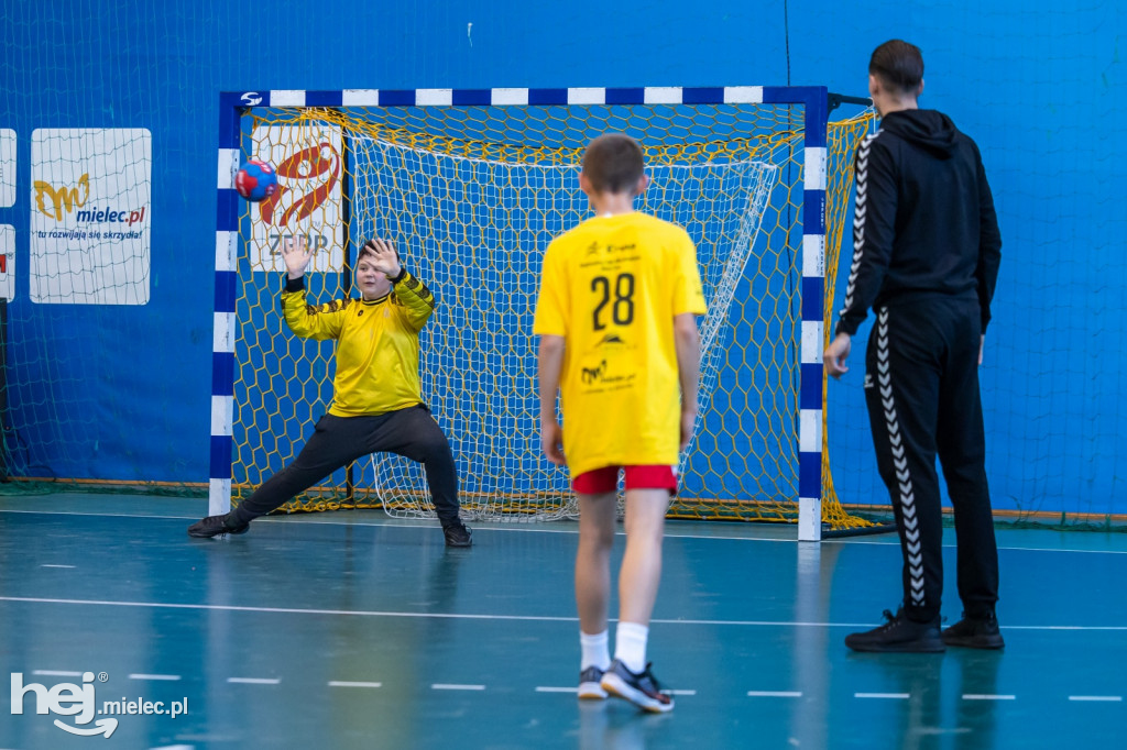 Enea Cup