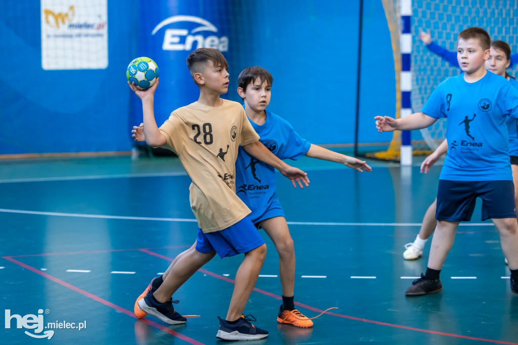 Enea Cup