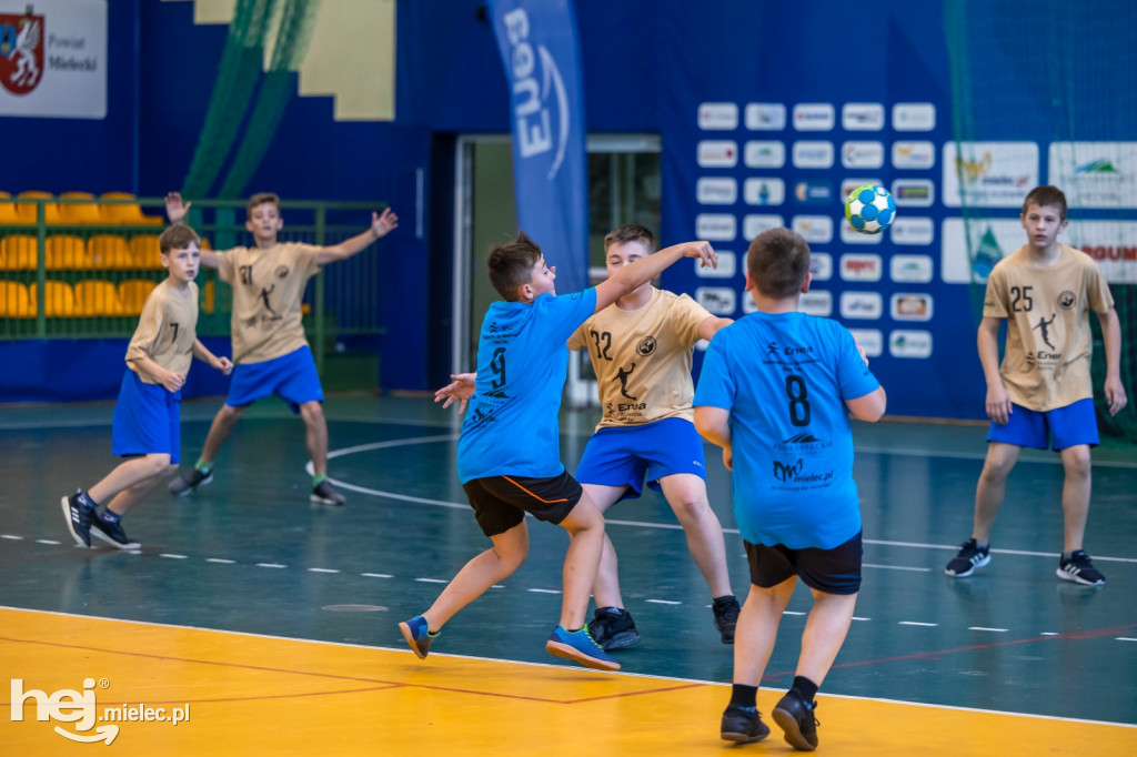 Enea Cup