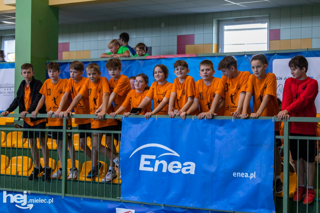 Enea Cup