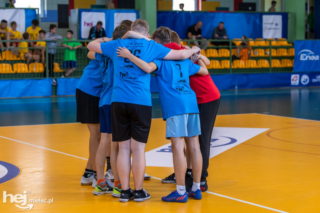 Enea Cup