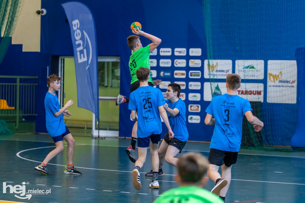 Enea Cup