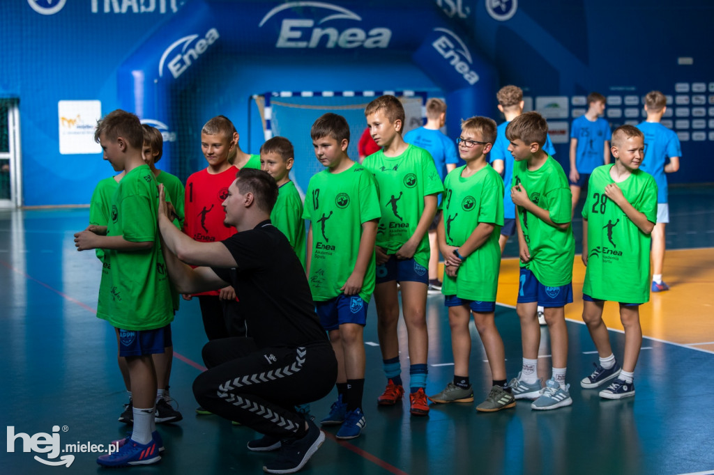 Enea Cup