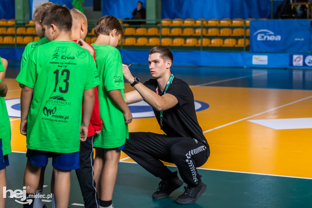 Enea Cup