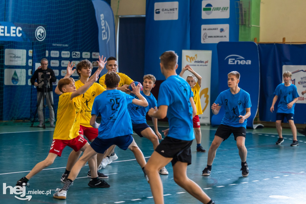 Enea Cup