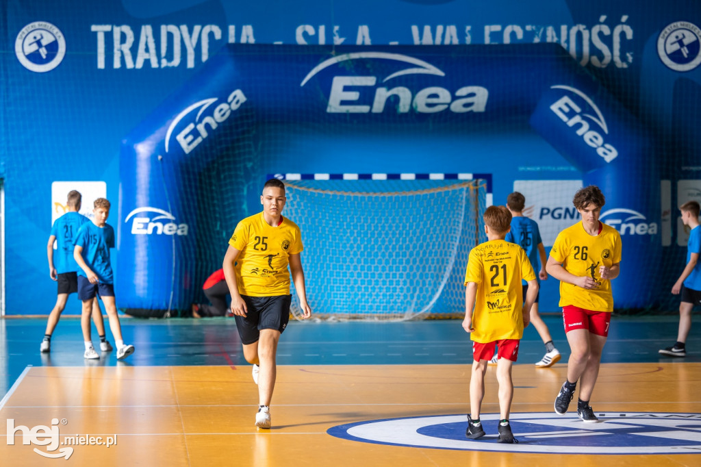 Enea Cup