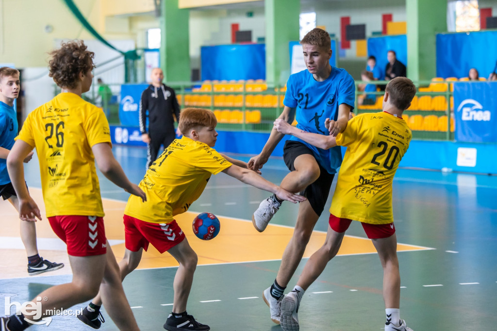 Enea Cup