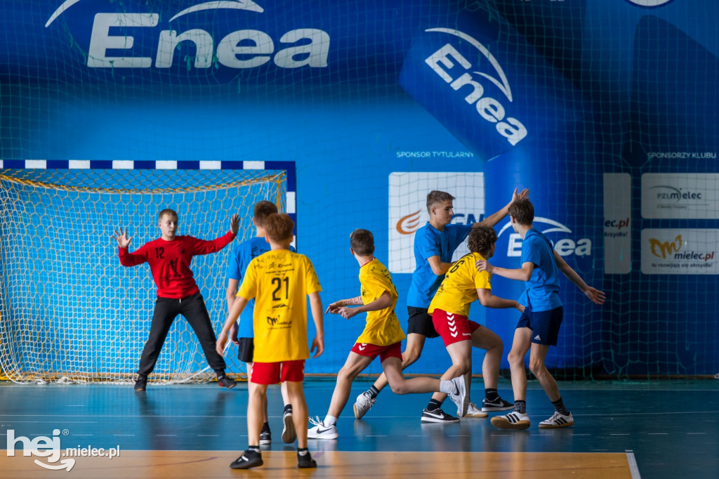 Enea Cup