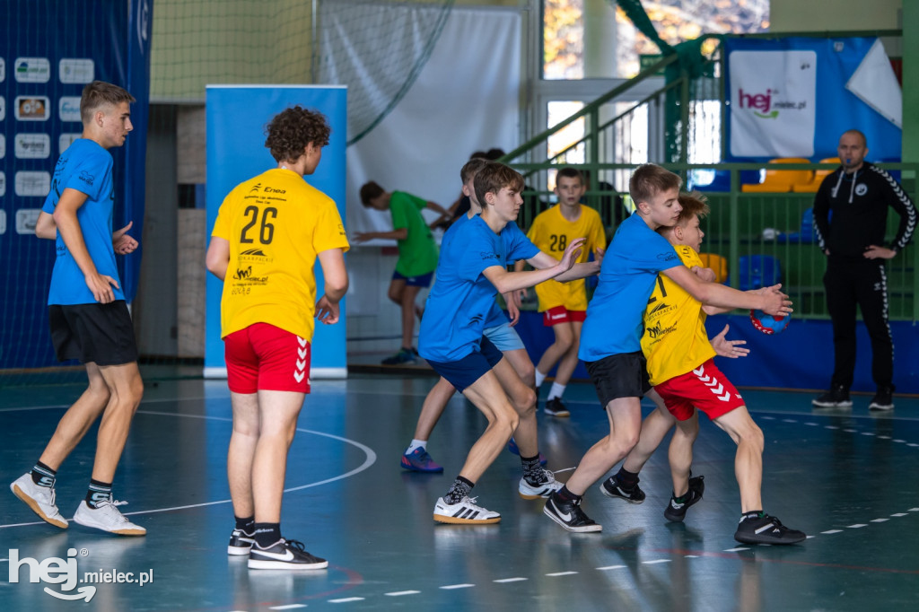 Enea Cup