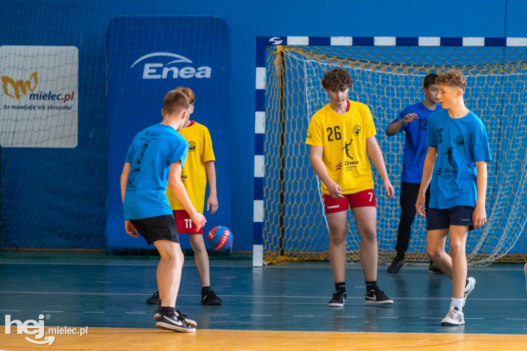 Enea Cup