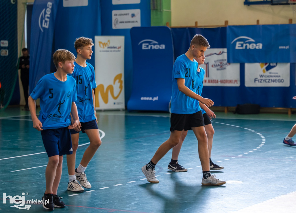 Enea Cup