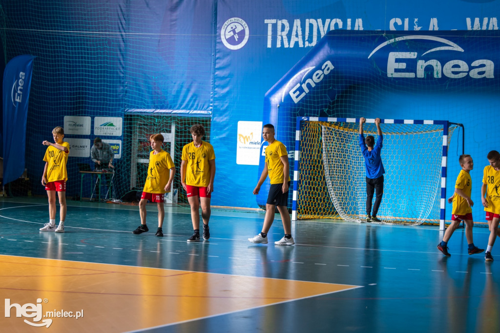 Enea Cup