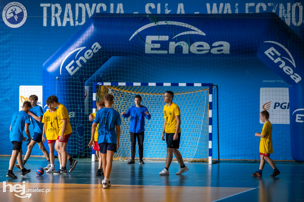 Enea Cup