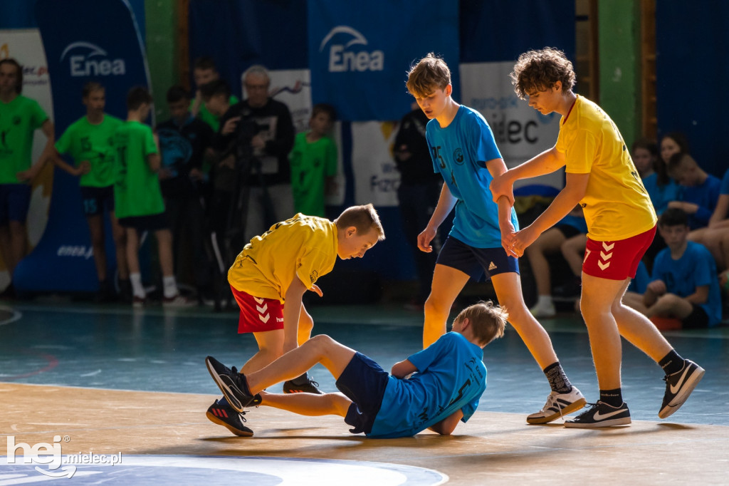 Enea Cup