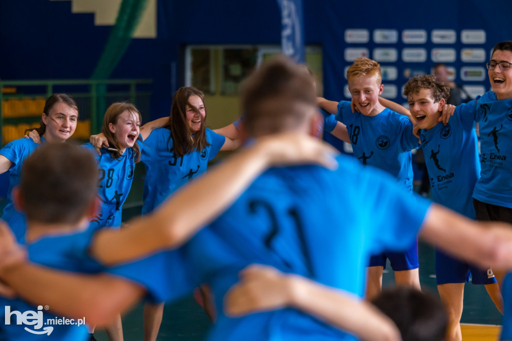 Enea Cup