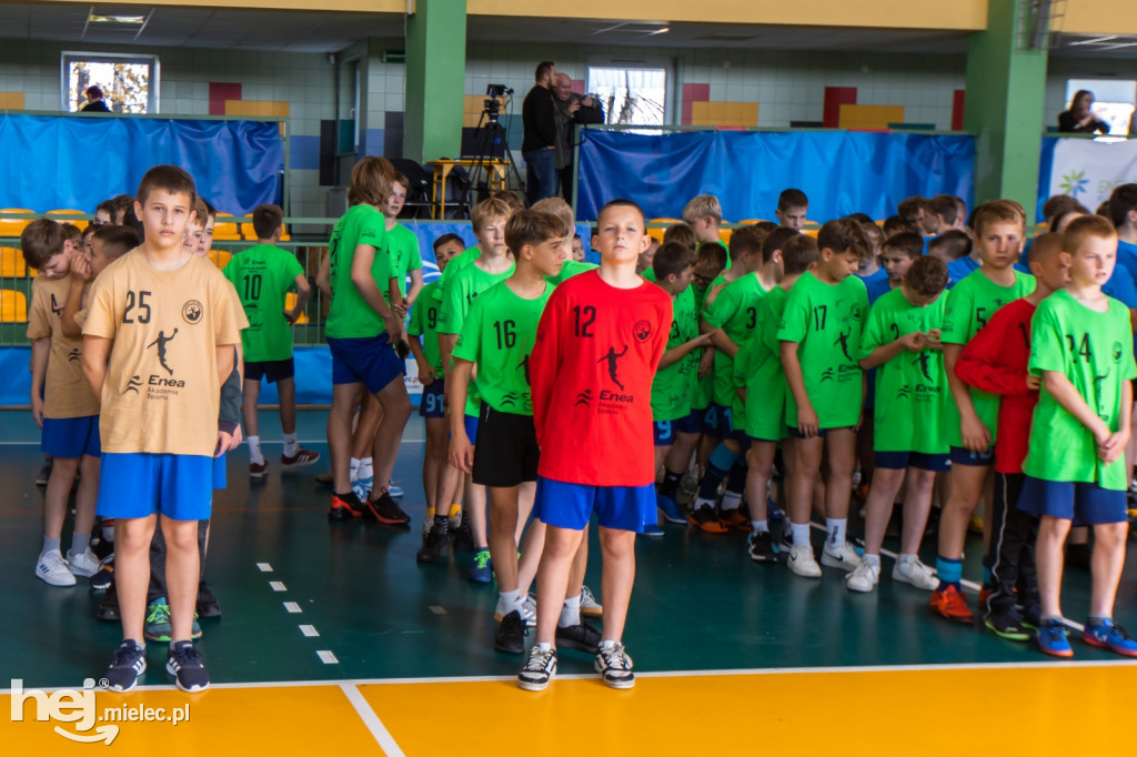 Enea Cup